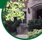 MSU Campus Picture