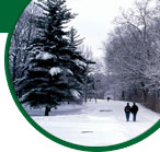 MSU Campus Picture