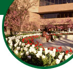 MSU Campus Picture