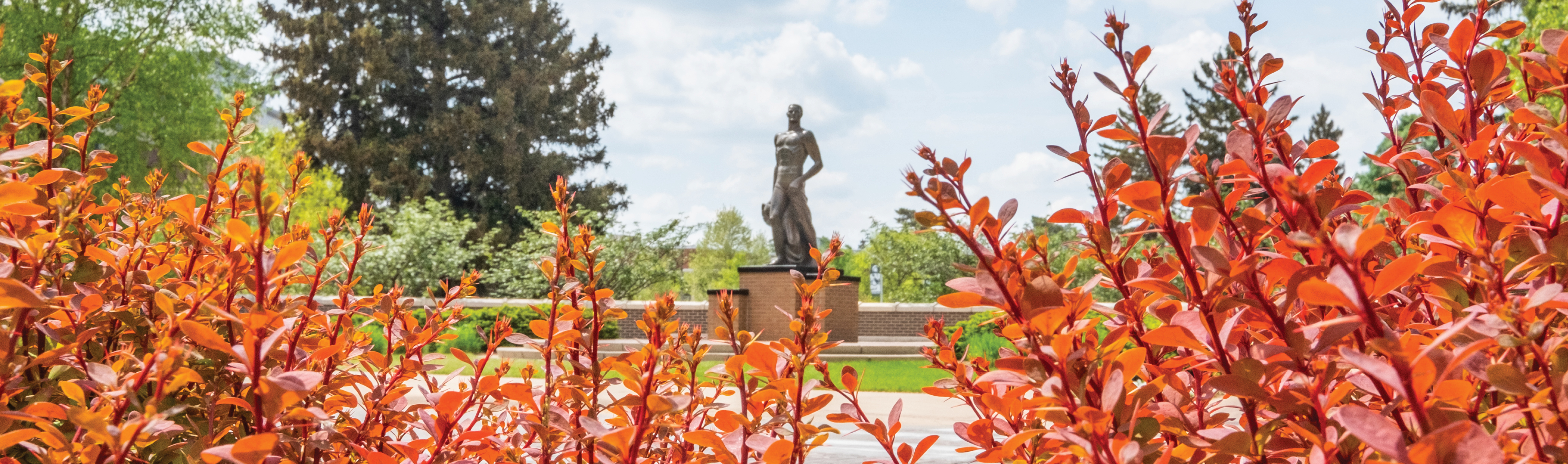 sparty statue in summer