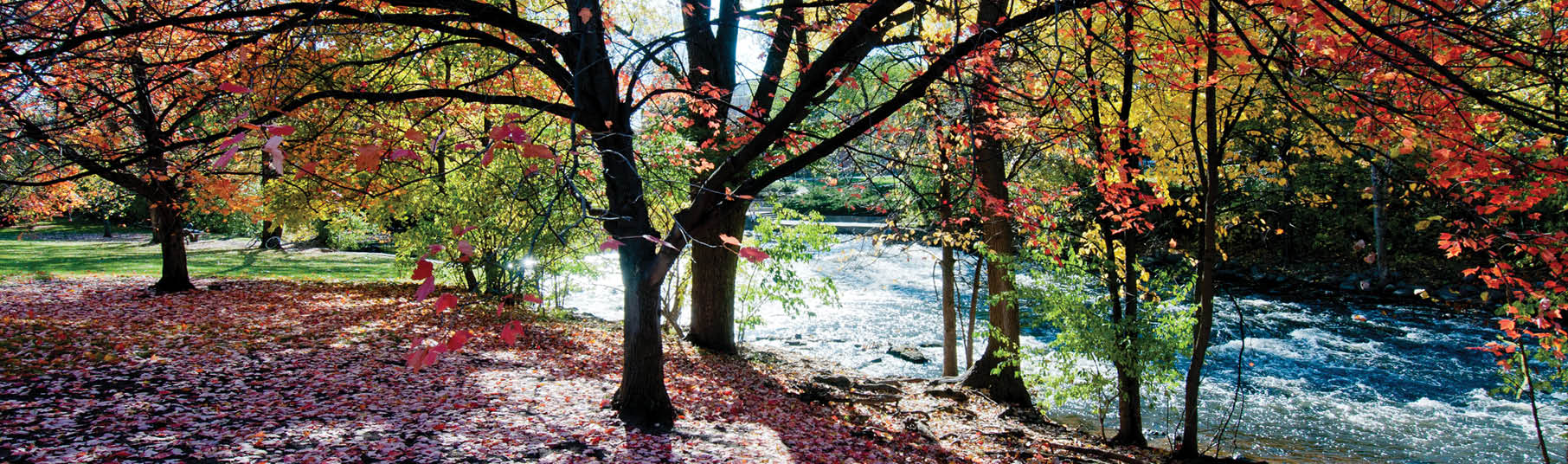 The Red Cedar River on campus surrounded by colorful fall leaves.