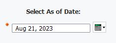 screenshot of Select As of Date Prompt