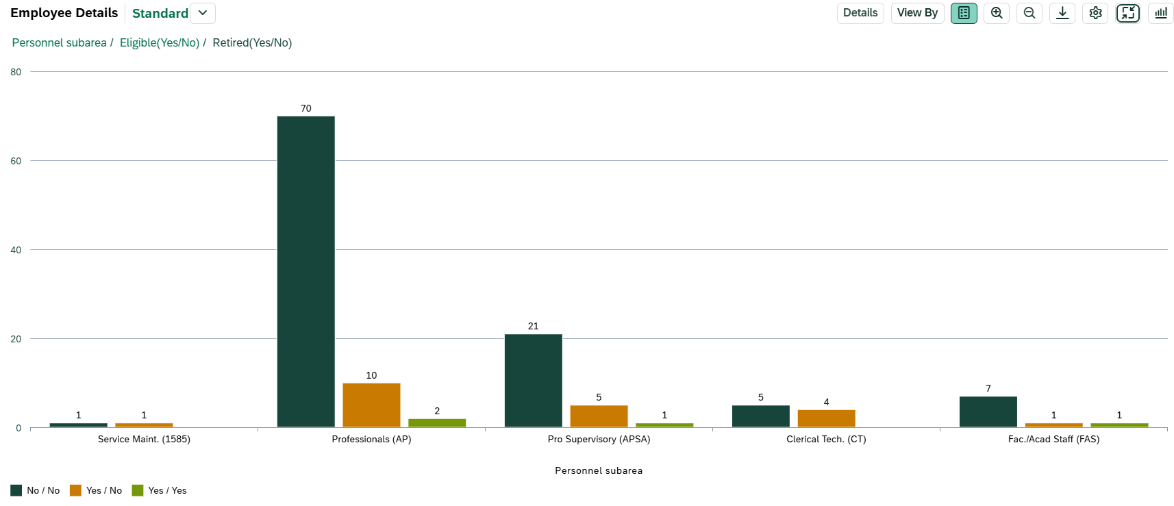 Screenshot of the Retirement Age chart with Personnel Subarea