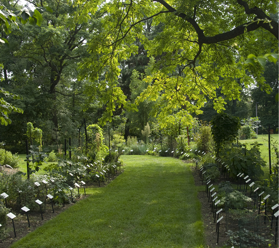 Photo of Beal Garden on campus